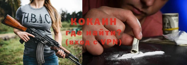 гашик Алексеевка