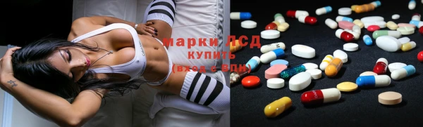 PSILOCYBIN Алзамай