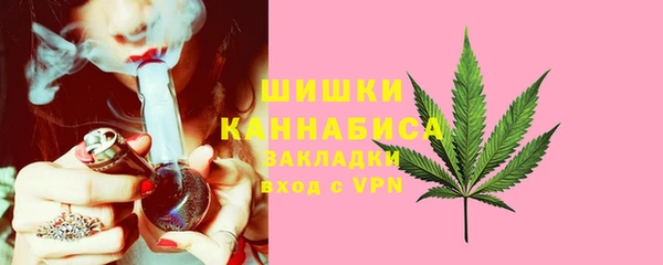 PSILOCYBIN Алзамай