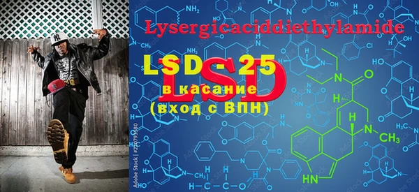 PSILOCYBIN Алзамай