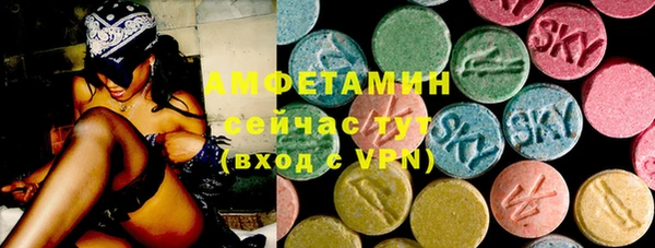 гашик Алексеевка