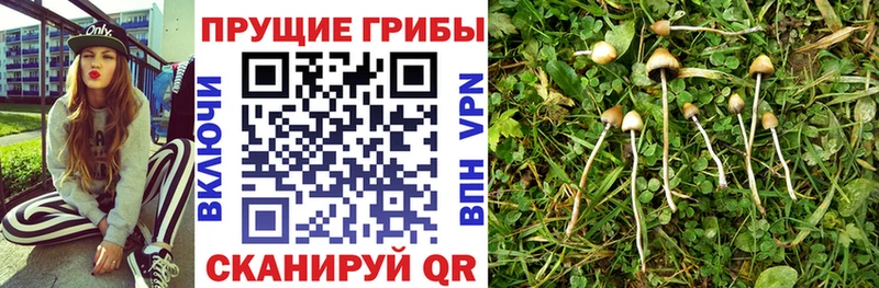 Галлюциногенные грибы мицелий  Нурлат 